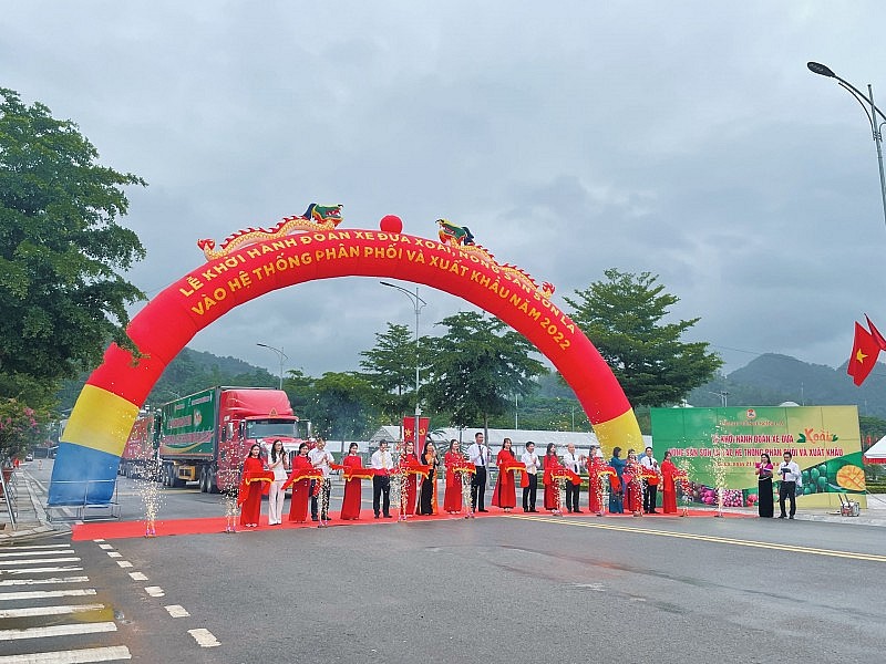 Xác định đúng và trúng các khâu đột phá, nhiệm vụ trọng tâm