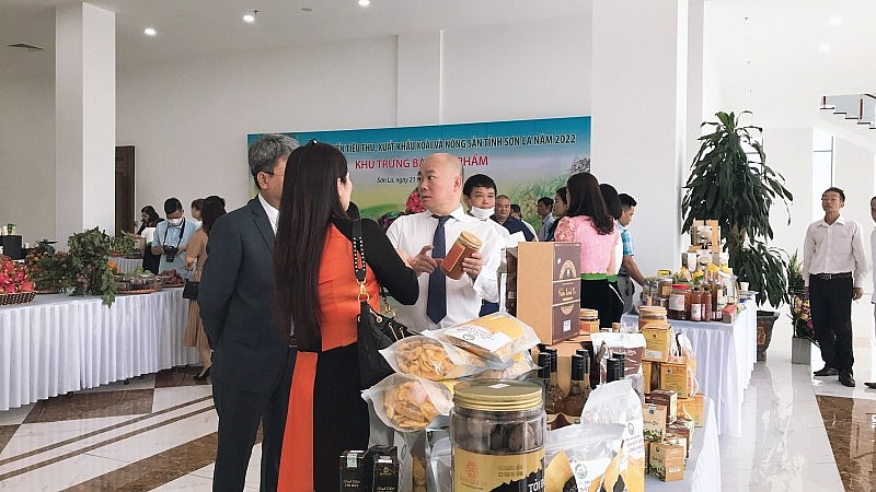 Xác định đúng và trúng các khâu đột phá, nhiệm vụ trọng tâm