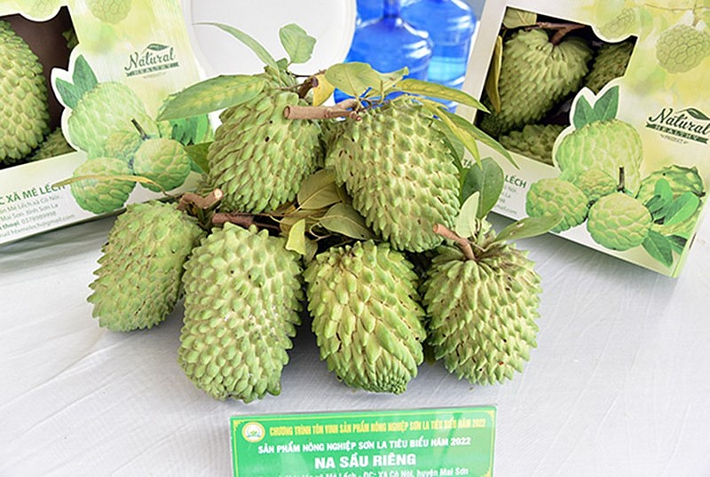 “Quả ngọt” từ chính sách tái cơ cấu ngành nông nghiệp “Quả ngọt” từ chính sách tái cơ cấu ngành nông nghiệp