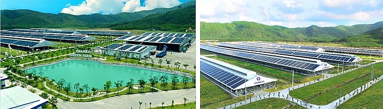 Nhìn lại hơn 1 thập kỉ tạo dựng nền tảng “bền và vững” của Vinamilk Nhìn lại hơn 1 thập kỉ tạo dựng nền tảng “bền và vững” của Vinamilk