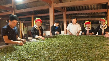 Huyện Vị Xuyên (Hà Giang): Đổi thay nhờ nông thôn mới