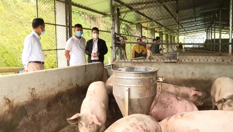 Huyện Vị Xuyên: Đổi thay nhờ nông thôn mới