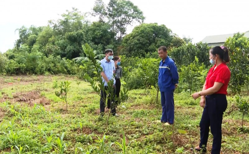 Huyện Vị Xuyên: Đổi thay nhờ nông thôn mới