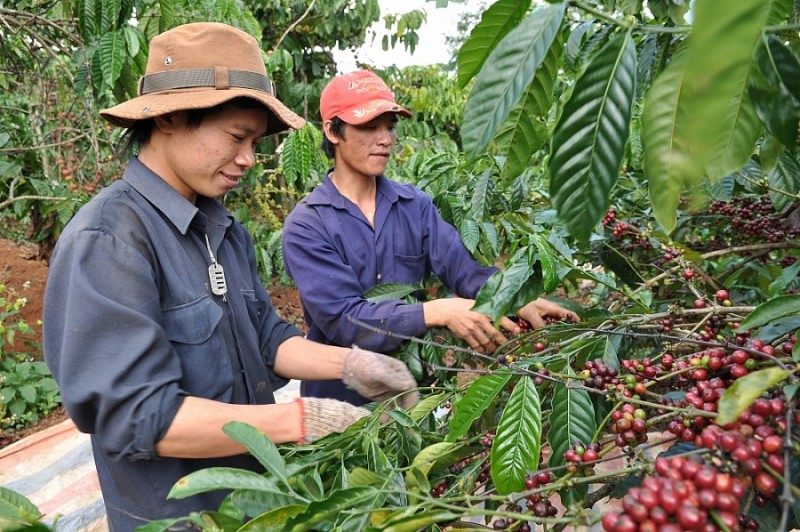 Đắk Nông: Phấn đấu đến năm 2025 giá trị xuất khẩu nông sản đạt trên 1,2 tỷ USD Đắk Nông: Phấn đấu đến năm 2025 giá trị xuất khẩu nông sản đạt trên 1,2 tỷ USD