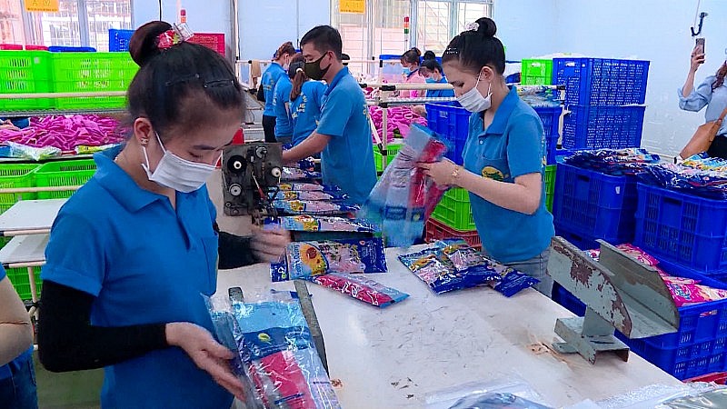 Đồng Nai  Doanh nghiệp FDI chiếm 74,3% trong tổng kim ngạch xuất khẩu