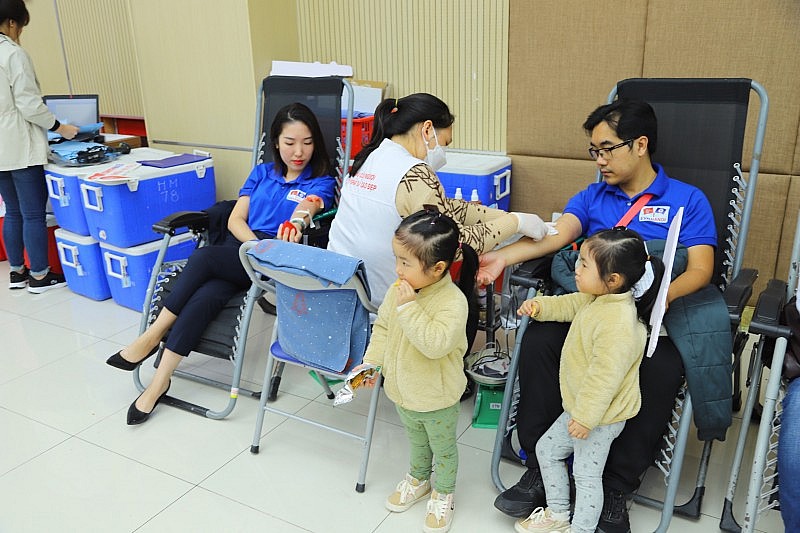 Tuần lễ hồng EVN lần thứ 8: Gần 12.000 người đăng ký tham gia hiến máu Tuần lễ hồng EVN lần thứ 8: Gần 12.000 người đăng ký tham gia hiến máu