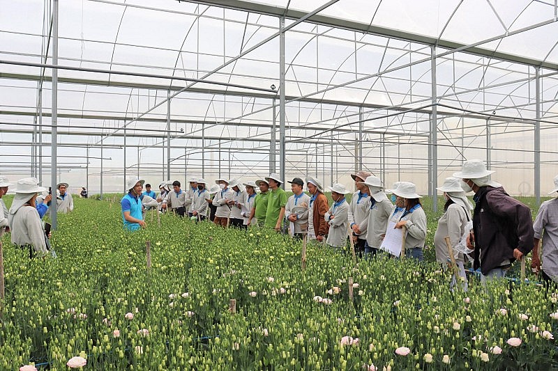 Yara Việt Nam hưởng ứng mạnh mẽ mục tiêu phát triển bền vững nông nghiệp Việt Yara Việt Nam hưởng ứng mạnh mẽ mục tiêu phát triển bền vững nông nghiệp Việt