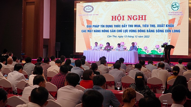 Khơi thông dòng vốn tín dụng cho khu vực Đồng bằng sông Cửu Long