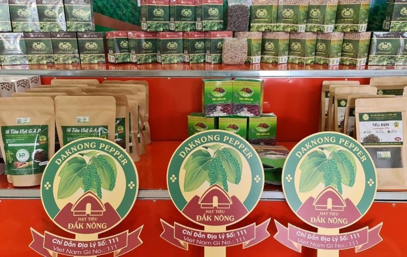 Đắk Nông: Xây dựng mã số vùng trồng cho chỉ dẫn địa lý hồ tiêu Đắk Nông: Xây dựng mã số vùng trồng cho chỉ dẫn địa lý hồ tiêu