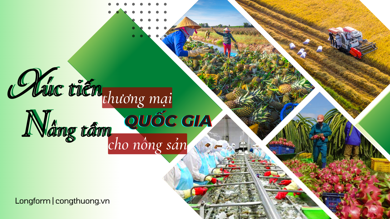 Longform | Xúc tiến thương mại quốc gia nâng tầm cho nông sản Longform | Xúc tiến thương mại quốc gia nâng tầm cho nông sản