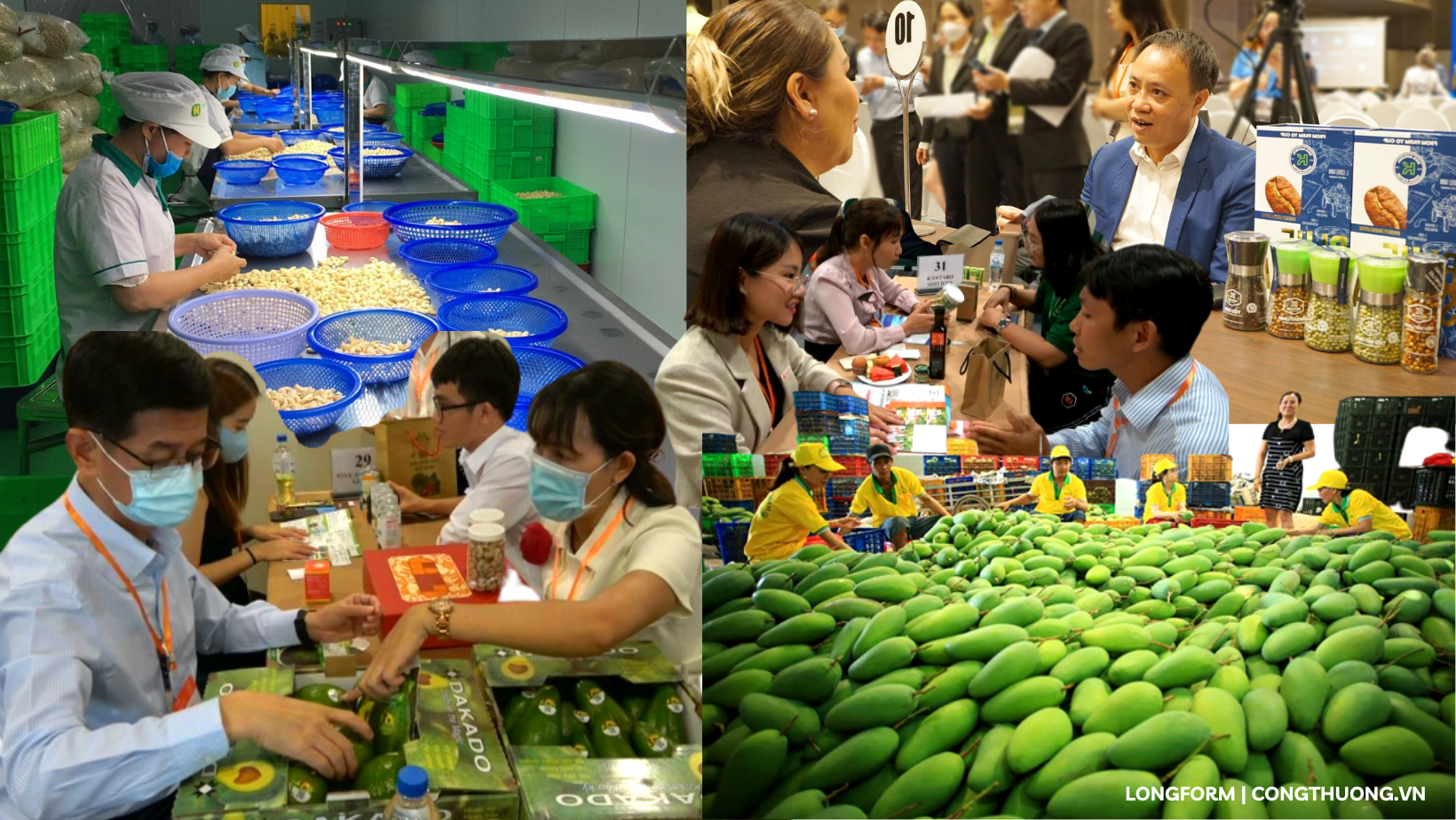 Longform | Xúc tiến thương mại quốc gia nâng tầm cho nông sản Longform | Xúc tiến thương mại quốc gia nâng tầm cho nông sản