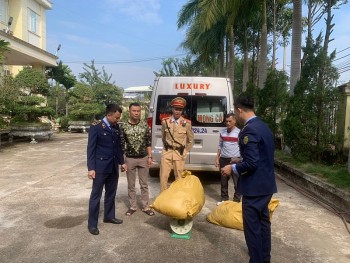 Quảng Ninh: Phát hiện gần 133kg nội tạng lợn bốc mùi đang trên đường vận chuyển đi tiêu thụ