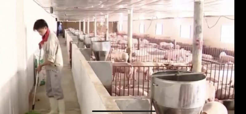 Đồng Nai: Đẩy mạnh phát triển chăn nuôi theo hướng nâng cao giá trị gia tăng Đồng Nai: Đẩy mạnh phát triển chăn nuôi theo hướng nâng cao giá trị gia tăng