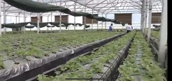 Đồng Nai: Phát triển Nông nghiệp ứng dụng công nghệ cao theo hướng hữu cơ bền vững.