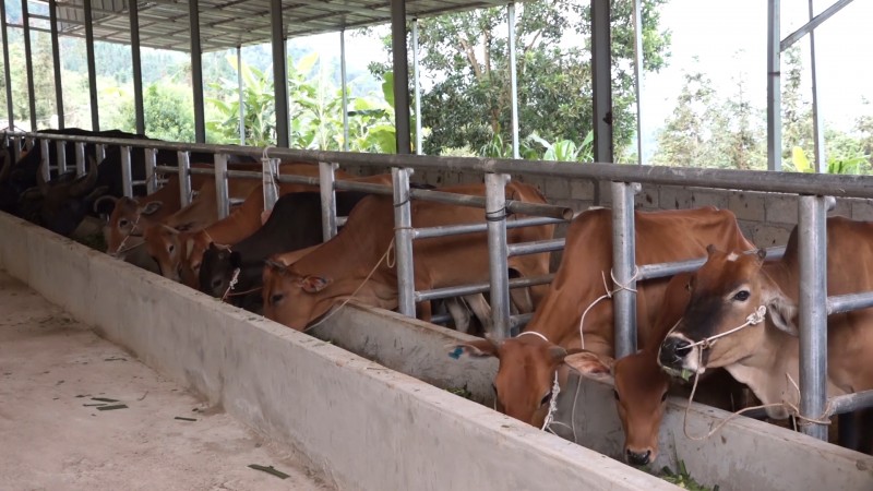 Hà Giang: Xây dựng xã nông thôn mới nâng cao Hà Giang: Xây dựng xã nông thôn mới nâng cao