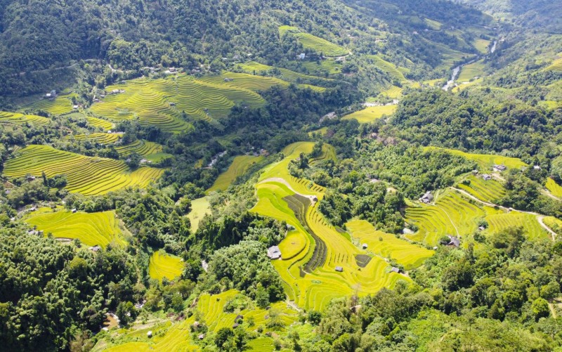 Hà Giang: Tín hiệu vui từ chính sách chi trả dịch vụ môi trường rừng Hà Giang: Tín hiệu vui từ chính sách chi trả dịch vụ môi trường rừng