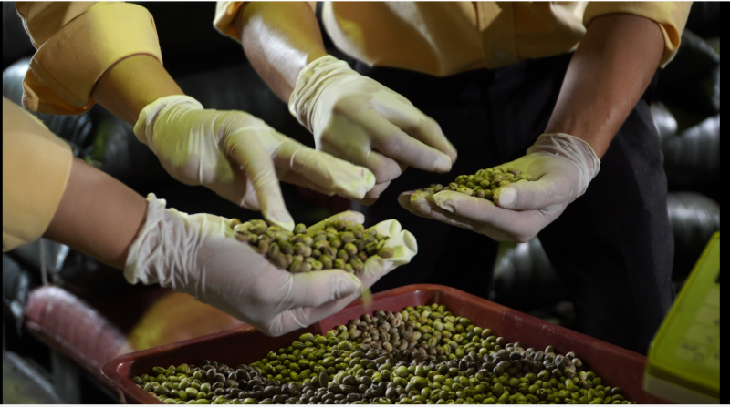 Doanh nghiệp đứng trước nhiều cơ hội xuất khẩu kỹ thuật số 2023 Doanh nghiệp đứng trước nhiều cơ hội xuất khẩu kỹ thuật số 2023