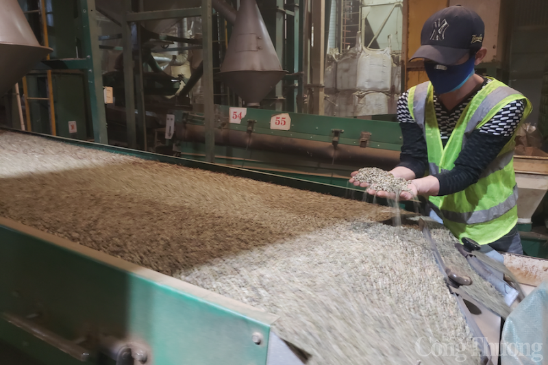 Gia Lai: EVFTA tạo động lực để doanh nghiệp đẩy mạnh xuất khẩu qua thị trường EU Gia Lai: EVFTA tạo động lực để doanh nghiệp đẩy mạnh xuất khẩu qua thị trường EU