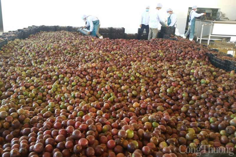 Gia Lai: EVFTA tạo động lực để doanh nghiệp đẩy mạnh xuất khẩu qua thị trường EU Gia Lai: EVFTA tạo động lực để doanh nghiệp đẩy mạnh xuất khẩu qua thị trường EU