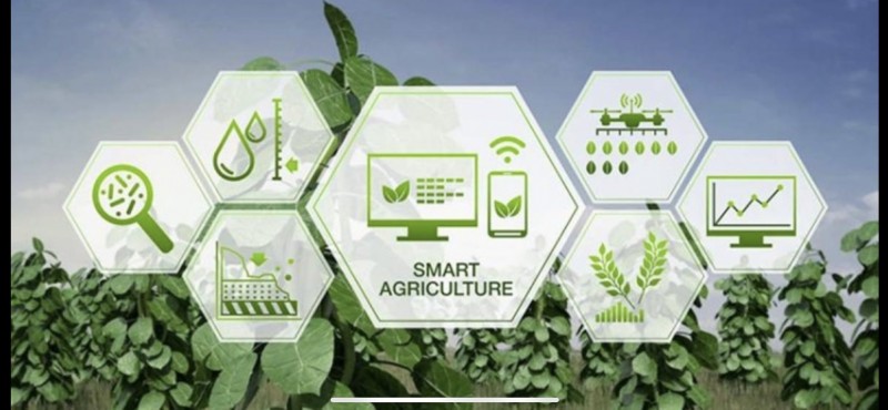 Đổng Nai: Tập trung triển khai Kế hoạch chuyển đổi số ngành nông nghiệp, nông thôn Đổng Nai: Tập trung triển khai Kế hoạch chuyển đổi số ngành nông nghiệp, nông thôn