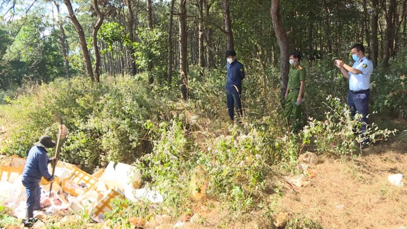 Gia Lai: Tiêu hủy hơn 600 kg thực phẩm không rõ nguồn gốc, xuất xứ
