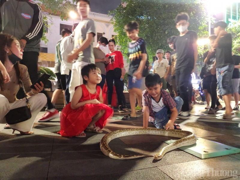 TP. Hồ Chí Minh: Hàng trăm Flycam biểu diễn show ánh sáng đêm Giáng sinh