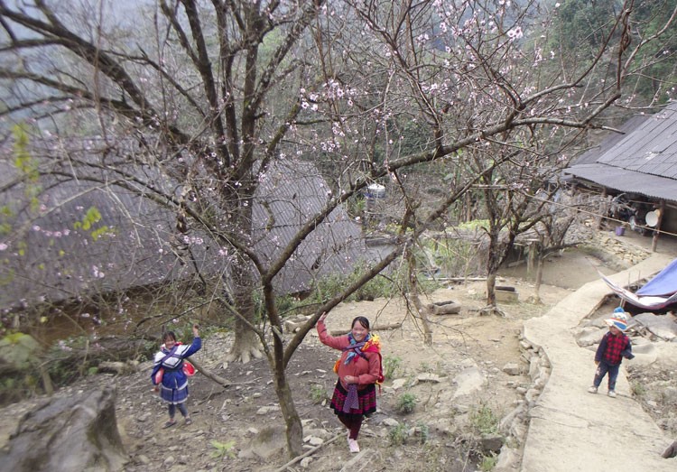 Lên Bản Mông vùng cao Bắc Hà ăn lợn Tết Lên Bản Mông vùng cao Bắc Hà ăn lợn Tết