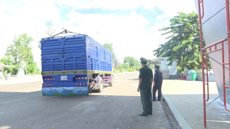 Lực lương Bộ đội Biên phòng và Hải quan phối hợp giám sát việc vận chuyển hàng hoá qua biên giới