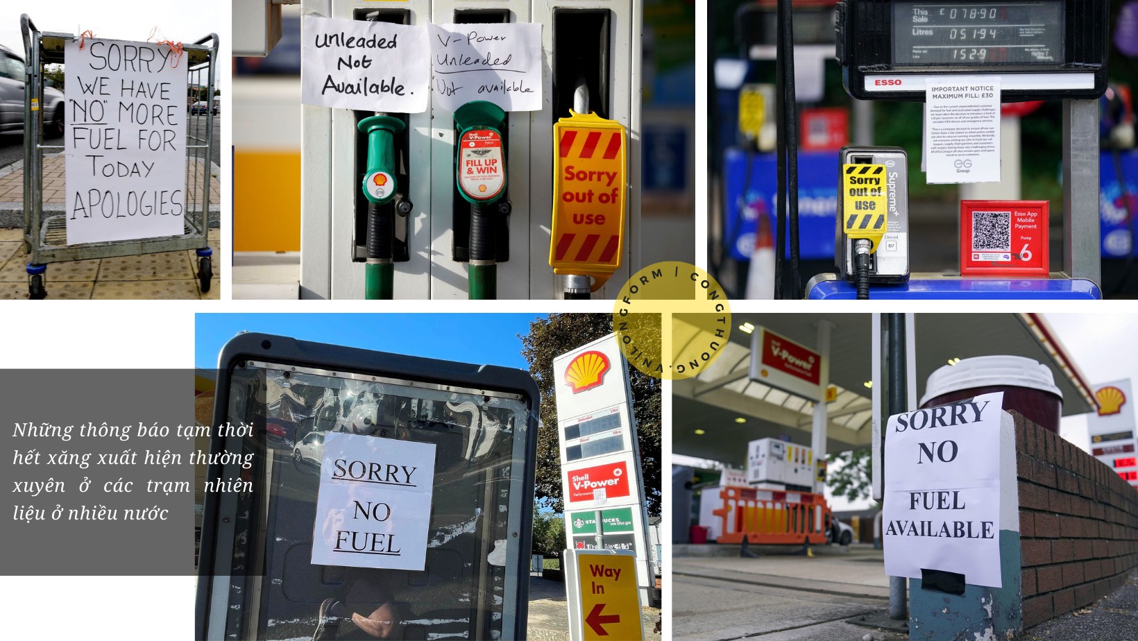 Longform | Bài 4: Các chuyên gia kinh tế khuyến nghị bài học và giải pháp cho Việt Nam! Longform | Bài 4: Các chuyên gia kinh tế khuyến nghị bài học và giải pháp cho Việt Nam!