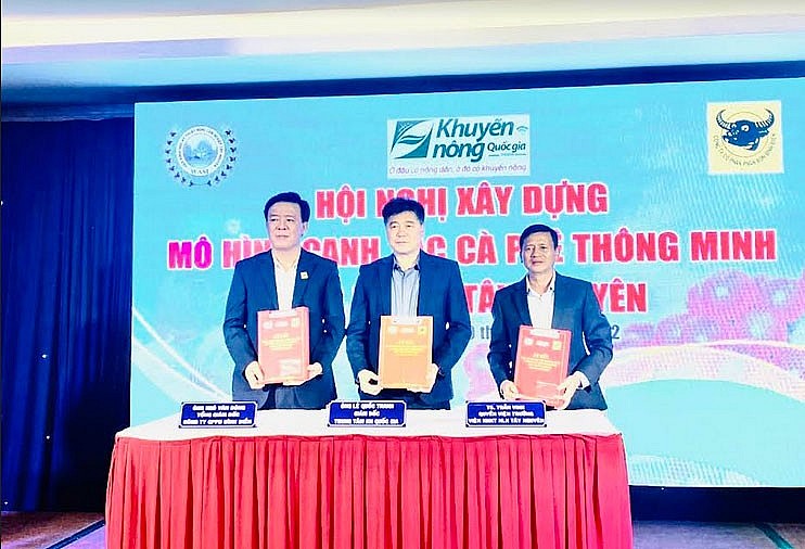 Bình Điền tổ chức xây dựng mô hình Canh tác cà phê thông minh cho 5 tỉnh Tây nguyên Bình Điền tổ chức xây dựng mô hình Canh tác cà phê thông minh cho 5 tỉnh Tây nguyên