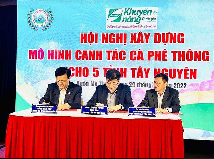 Bình Điền tổ chức xây dựng mô hình Canh tác cà phê thông minh cho 5 tỉnh Tây nguyên Bình Điền tổ chức xây dựng mô hình Canh tác cà phê thông minh cho 5 tỉnh Tây nguyên