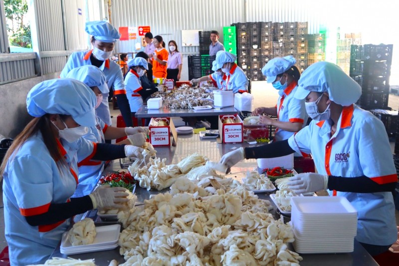 GRDP tỉnh Lâm Đồng năm 2022 xếp thứ Nhất vùng Tây Nguyên GRDP tỉnh Lâm Đồng năm 2022 xếp thứ Nhất vùng Tây Nguyên