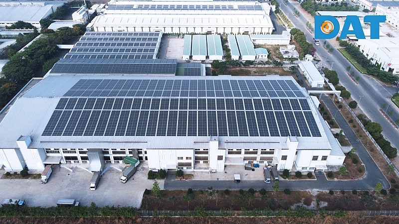 Năng lượng tái tạo: Cuộc chơi chỉ dành cho nhà đầu tư có năng lực | Thời sự Năng lượng tái tạo: Cuộc chơi chỉ dành cho nhà đầu tư có năng lực | Thời sự