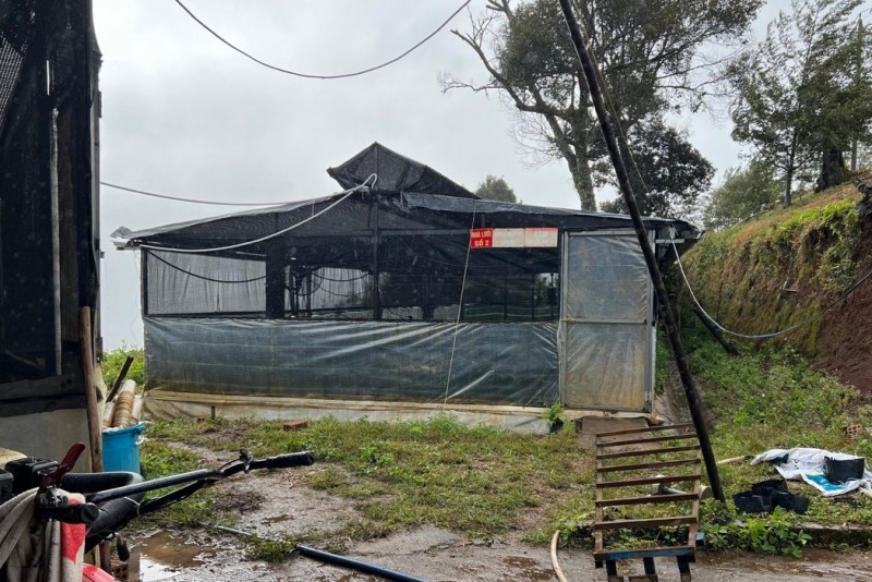 Nhà lưới nuôi cấy mô của Công ty Cổ phần rượu Sâm Ngọc Linh Kon Tum Nhà lưới nuôi cấy mô của Công ty Cổ phần rượu Sâm Ngọc Linh Kon Tum