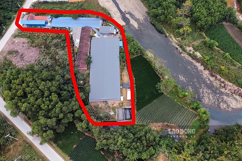 Trại lợn tại xã Phúc Thuận (TP Phổ Yên) bị người dân tố xả thải thẳng ra sông