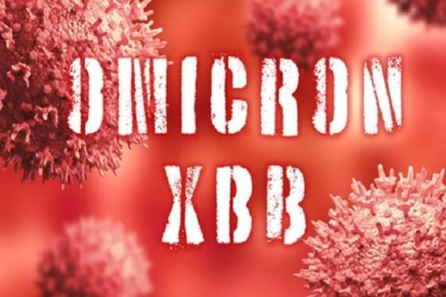 Biến thể phụ XBB.1.5 đã xuất hiện ở gần 30 nước; Việt Nam tăng cường kiểm soát dịch bệnh Biến thể phụ XBB.1.5 đã xuất hiện ở gần 30 nước; Việt Nam tăng cường kiểm soát dịch bệnh