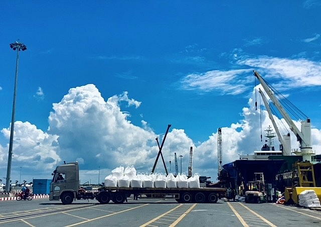 Sau khi chu toàn cung ứng nội địa, Phân bón Cà Mau đã triệt để vận dụng khai xuân năm 2023 hướng ra thị trường quốc tế Sau khi chu toàn cung ứng nội địa, Phân bón Cà Mau đã triệt để vận dụng khai xuân năm 2023 hướng ra thị trường quốc tế