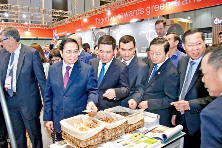 Ngành Công Thương làm theo lời Bác: “Để Xuân sau hơn Xuân này”