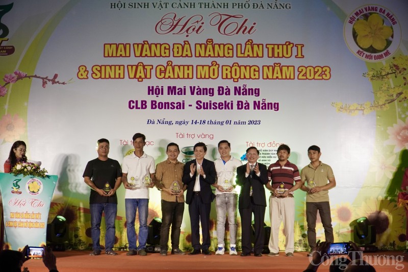 Du khách thích thú với Hội thi Mai Vàng tại Đà Nẵng