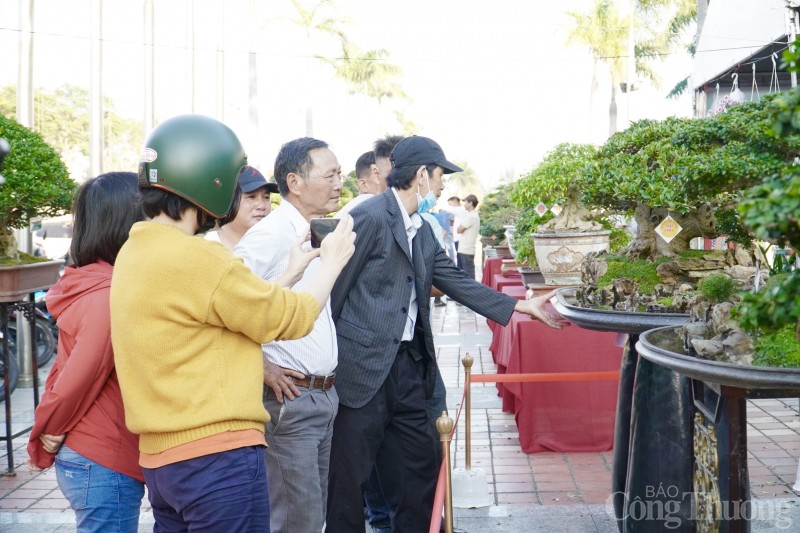 Du khách thích thú với Hội thi Mai Vàng tại Đà Nẵng