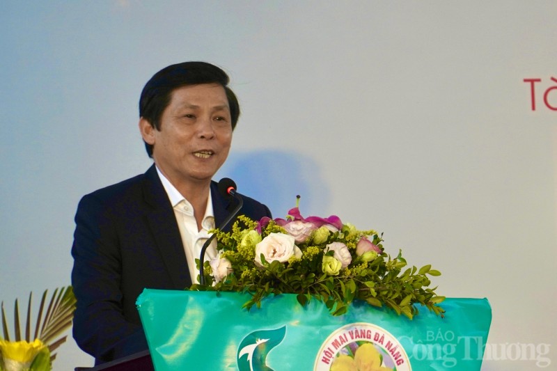 Du khách thích thú với Hội thi Mai Vàng tại Đà Nẵng