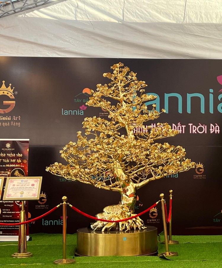 Hàng Tết 2023: Giải mã bí mật Cây mai "vàng" 24K khủng nhất Việt Nam