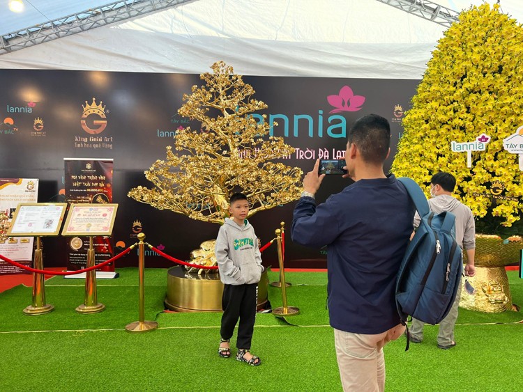 Hàng Tết 2023: Giải mã bí mật Cây mai "vàng" 24K khủng nhất Việt Nam