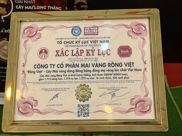 Hàng Tết 2023: Giải mã bí mật Cây mai "vàng" 24K khủng nhất Việt Nam