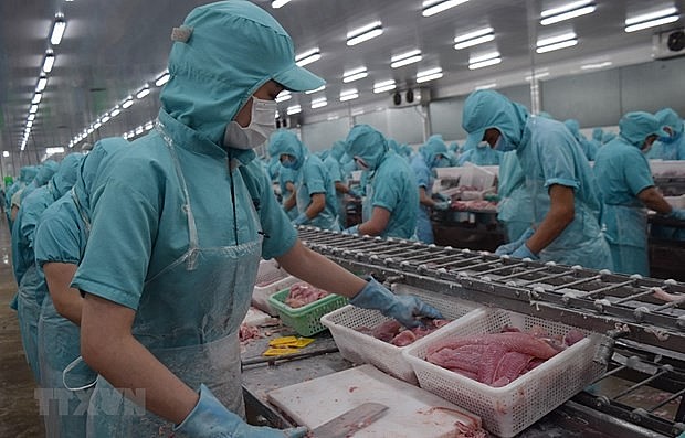 Quy trình sản xuất tại một cơ sở chế biến thủy sản của tỉnh Đồng Tháp Quy trình sản xuất tại một cơ sở chế biến thủy sản của tỉnh Đồng Tháp