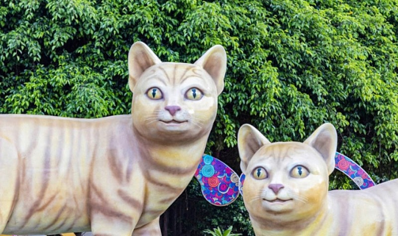 Linh vật mèo tết Qúy Mão gây ‘sốt’ cộng đồng mạng Linh vật mèo tết Qúy Mão gây ‘sốt’ cộng đồng mạng