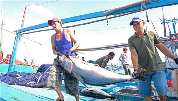 Thương mại, xuất khẩu và đầu tư là động lực tăng trưởng của Việt Nam hình ảnh 1 Thuong mai, xuat khau va dau tu la dong luc tang truong cua Viet Nam hinh anh 1