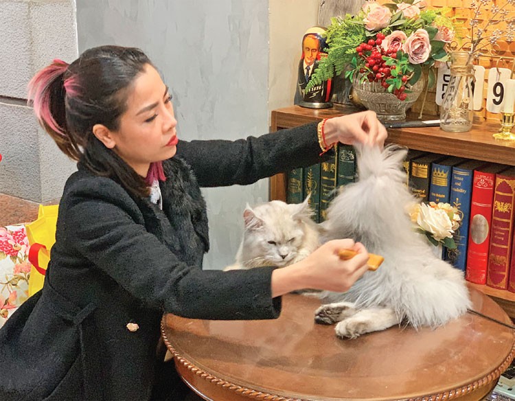 Mèo“quý tộc” và thú chơi thời thượng Mèo“quý tộc” và thú chơi thời thượng