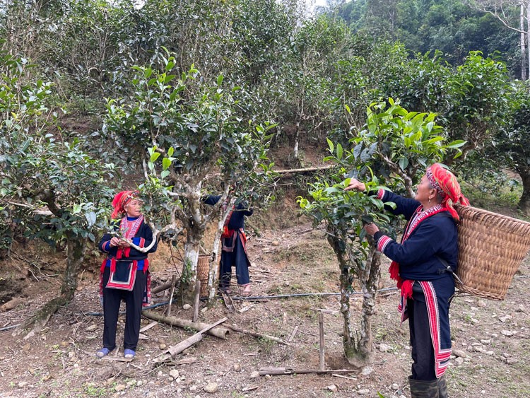 Chạm vào miền cổ tích Chạm vào miền cổ tích