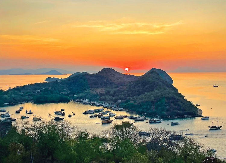 Đi đảo cát hồng, ngắm rồng Komodo Đi đảo cát hồng, ngắm rồng Komodo